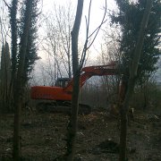 lavori forestali (5)
